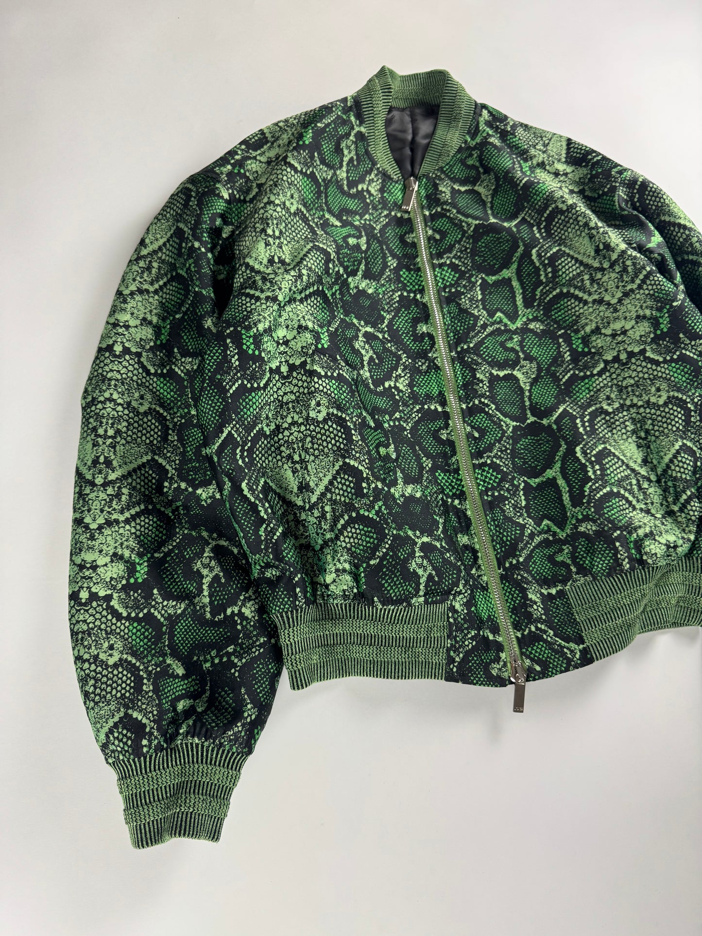 Dior Cactus Jack Sample Greenlight Snakeskin Pattern Bomber Jacket SS 2022 - M